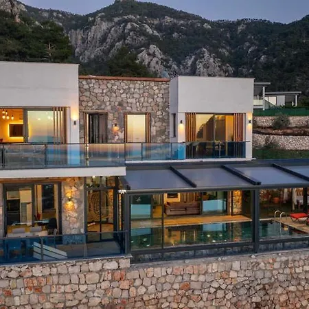 Terra Liva * Kozagaci