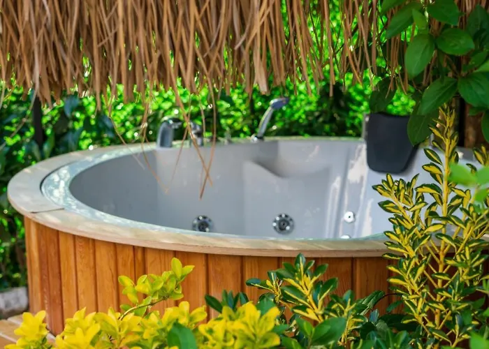 فيلة Terra Liva *