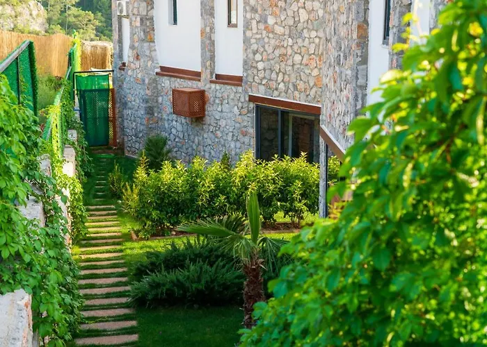 Terra Liva فيلة Kozagaci