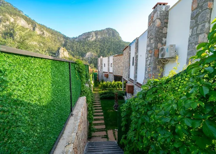 Terra Liva فيلة *