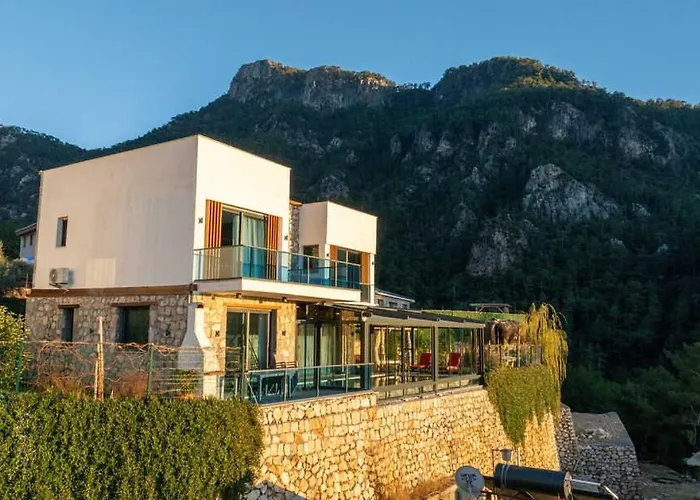 فيلة Terra Liva Kozagaci