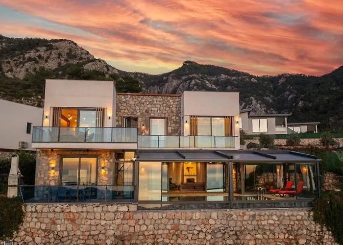 Terra Liva فيلة *