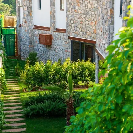 Terra Liva Vila Kozagaci