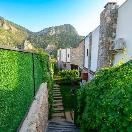 Terra Liva Vila *