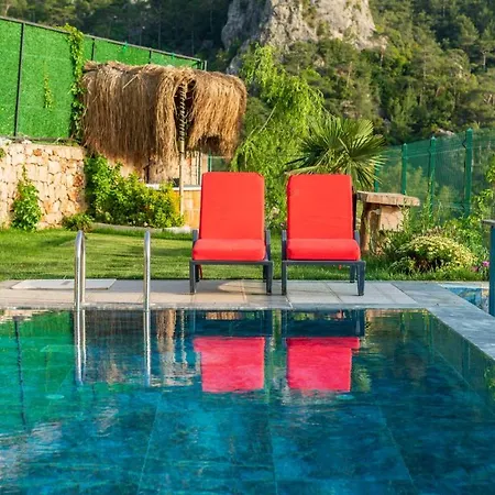 Vila Terra Liva