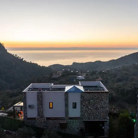 Terra Liva