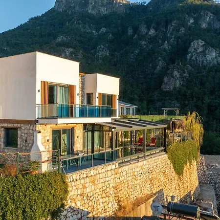Terra Liva Kozagaci