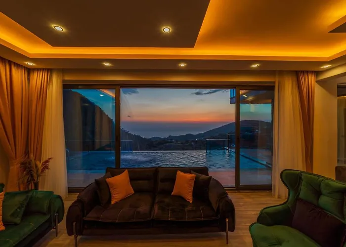 Terra Liva * Kozagaci