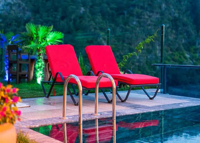 Terra Liva * Kozagaci