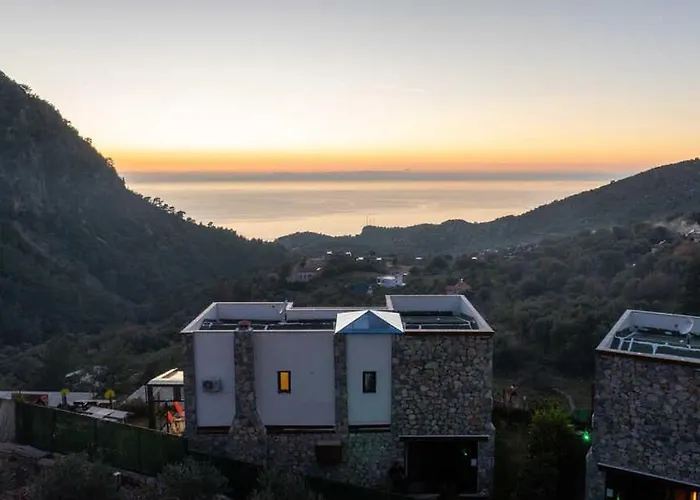 Terra Liva